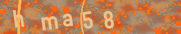 Visual Confirmation Code