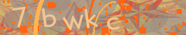 Visual Confirmation Code