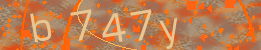 Visual Confirmation Code