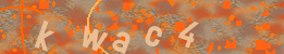Visual Confirmation Code